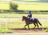 HC240925-14 - Rousham